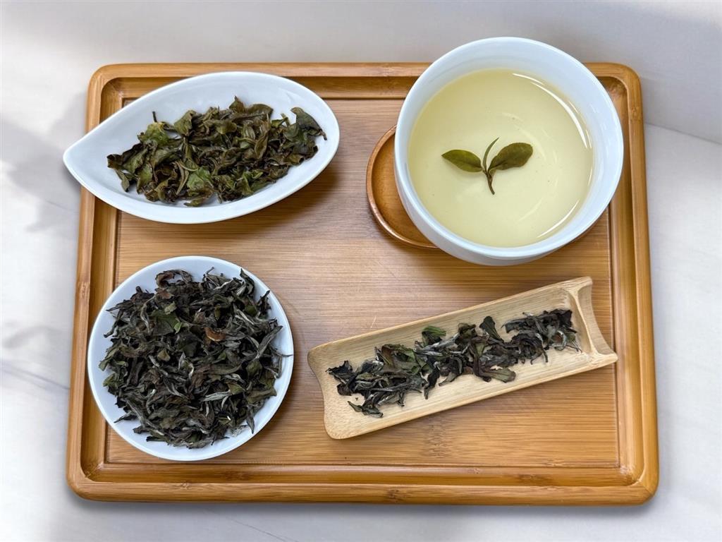 茶改場—台灣橙茶